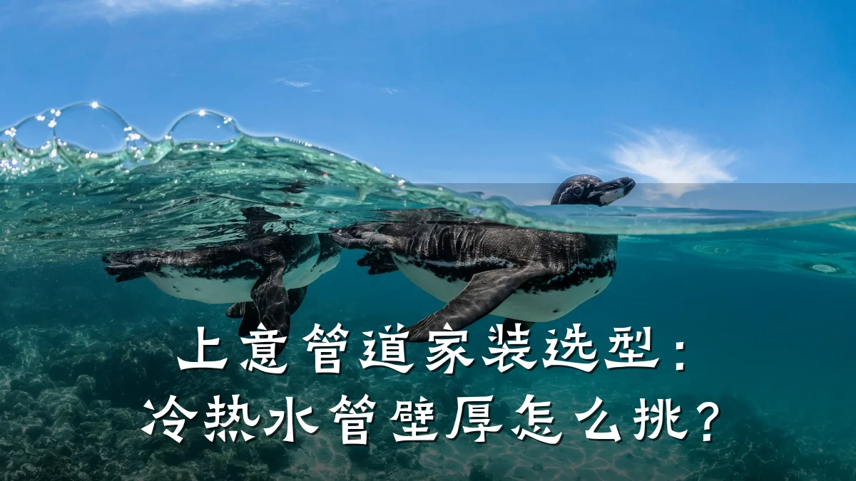 上意管道家装选型：冷热水管壁厚怎么挑？