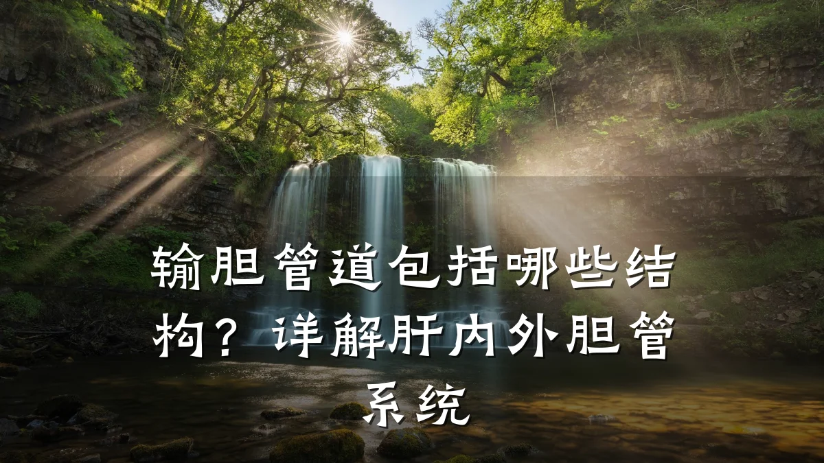 输胆管道包括哪些结构?详解肝内外胆管系统