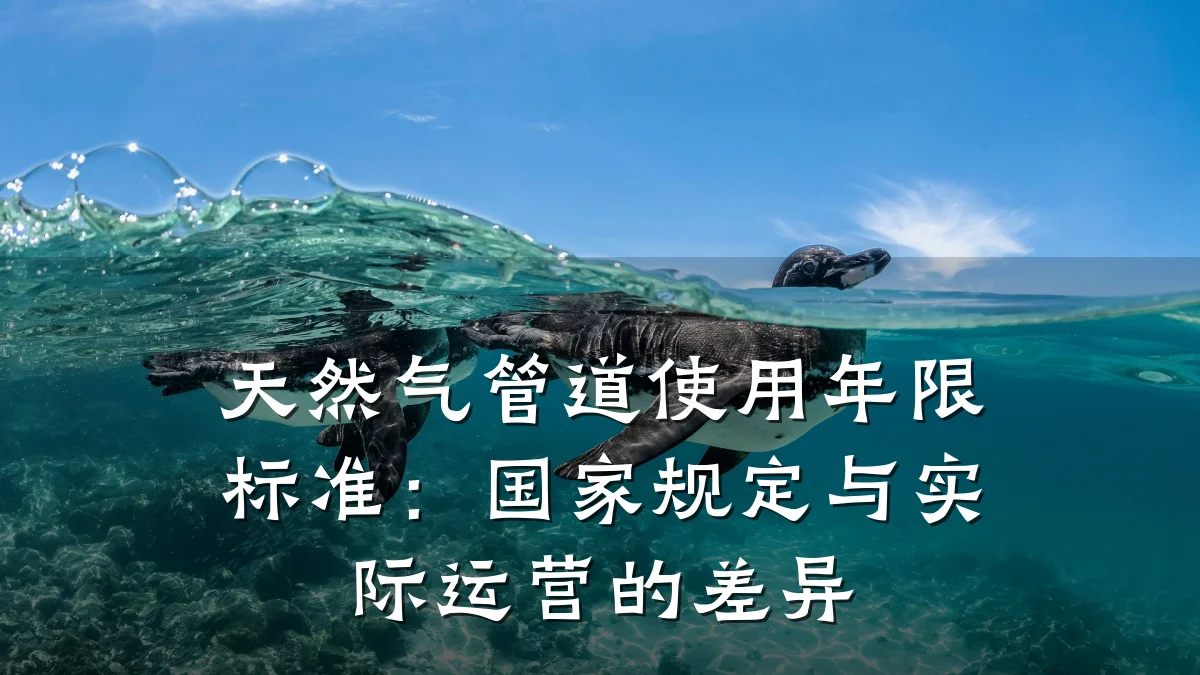 天然气管道使用年限标准:国家规定与实际运营的差异