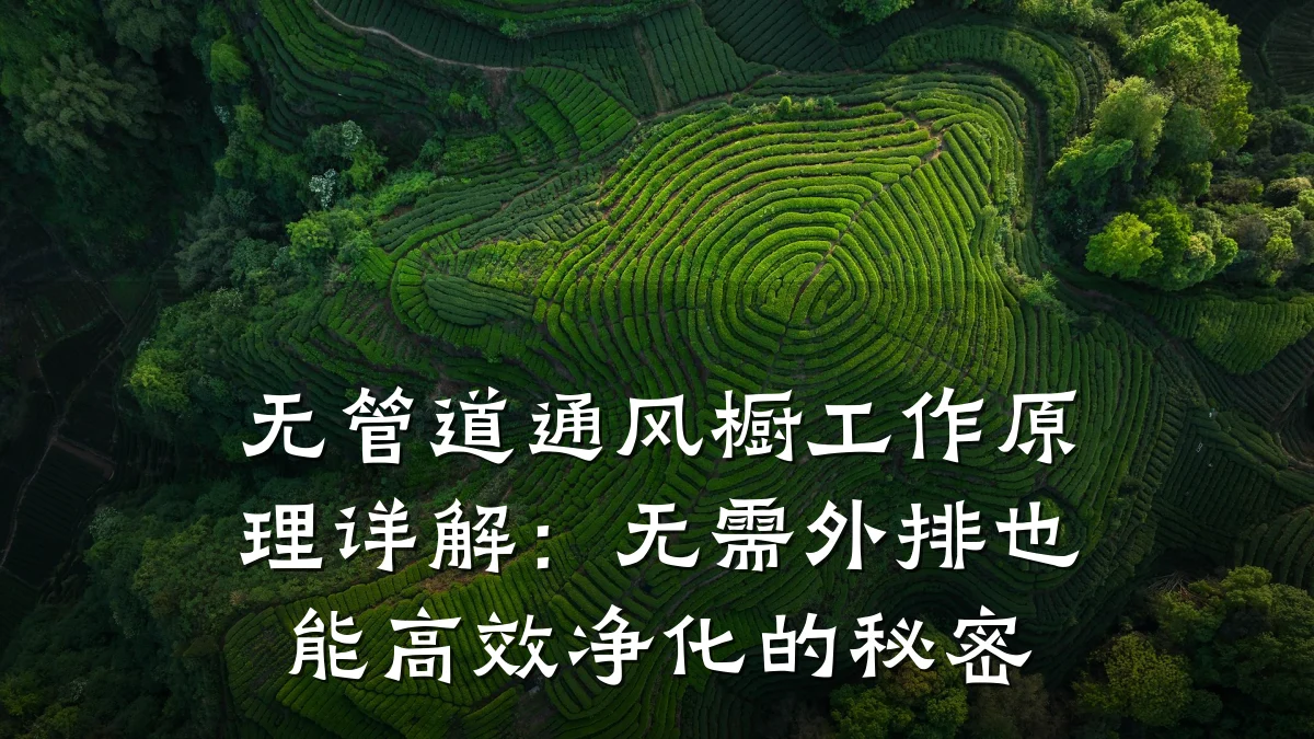 无管道通风橱工作原理详解:无需外排也能高效净化的秘密