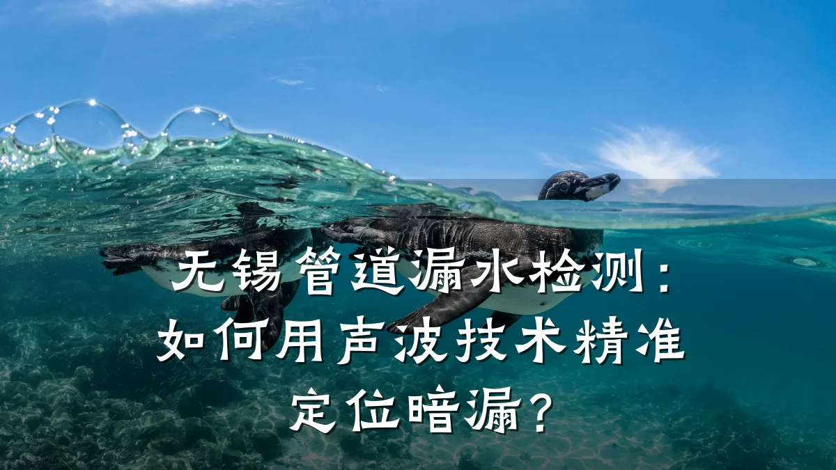 无锡管道漏水检测:如何用声波技术精准定位暗漏?