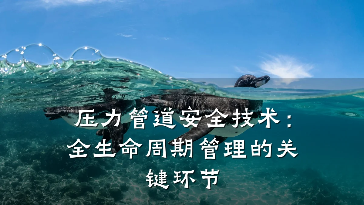 压力管道安全技术:全生命周期管理的关键环节