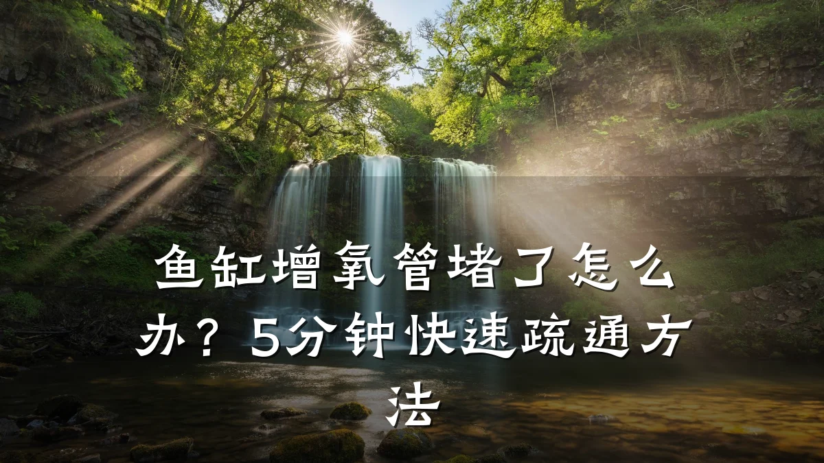 鱼缸增氧管堵了怎么办?5分钟快速疏通方法