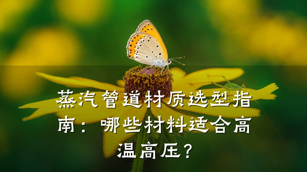 蒸汽管道材质选型指南:哪些材料适合高温高压?