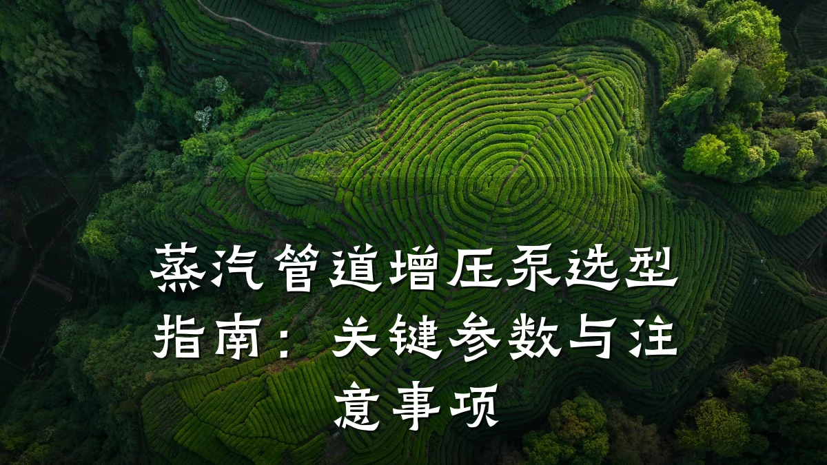 蒸汽管道增压泵选型指南:关键参数与注意事项