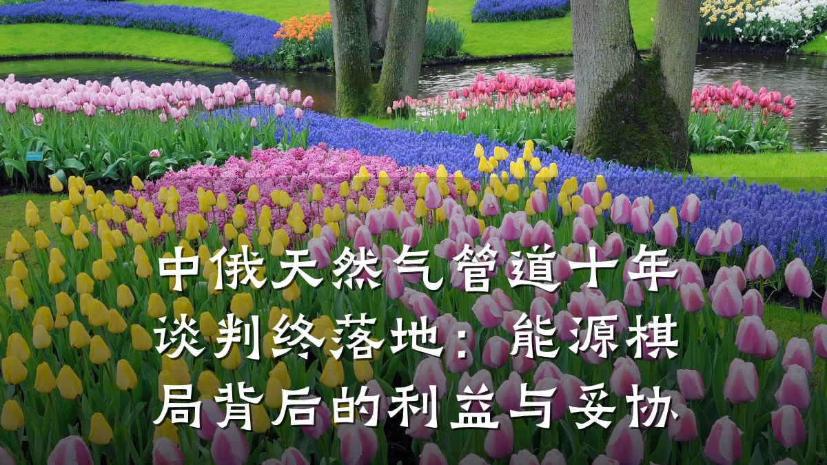 中俄天然气管道十年谈判终落地:能源棋局背后的利益与妥协