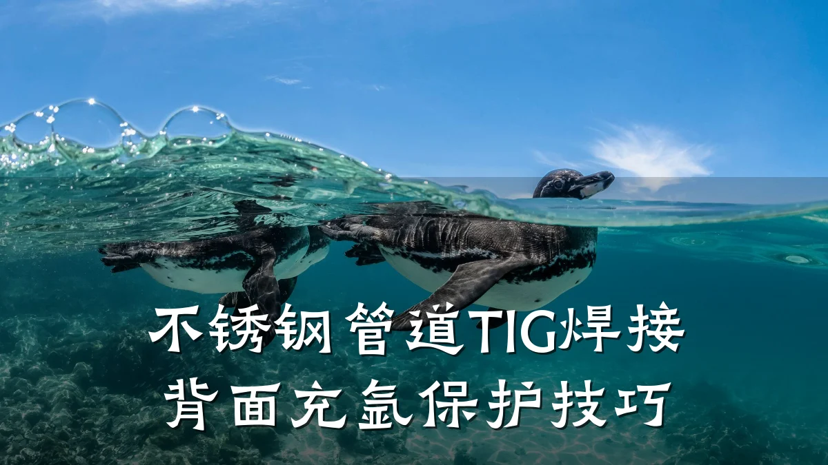 不锈钢管道TIG焊接背面充氩保护技巧
