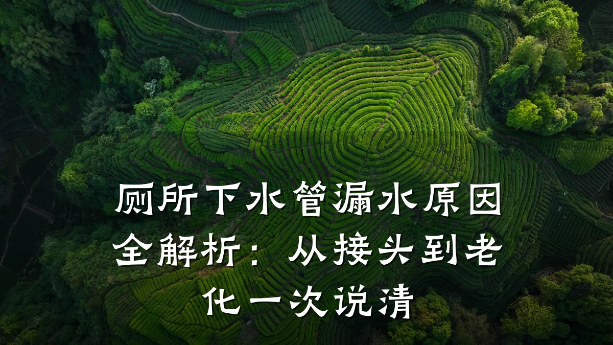 厕所下水管漏水原因全解析:从接头到老化一次说清