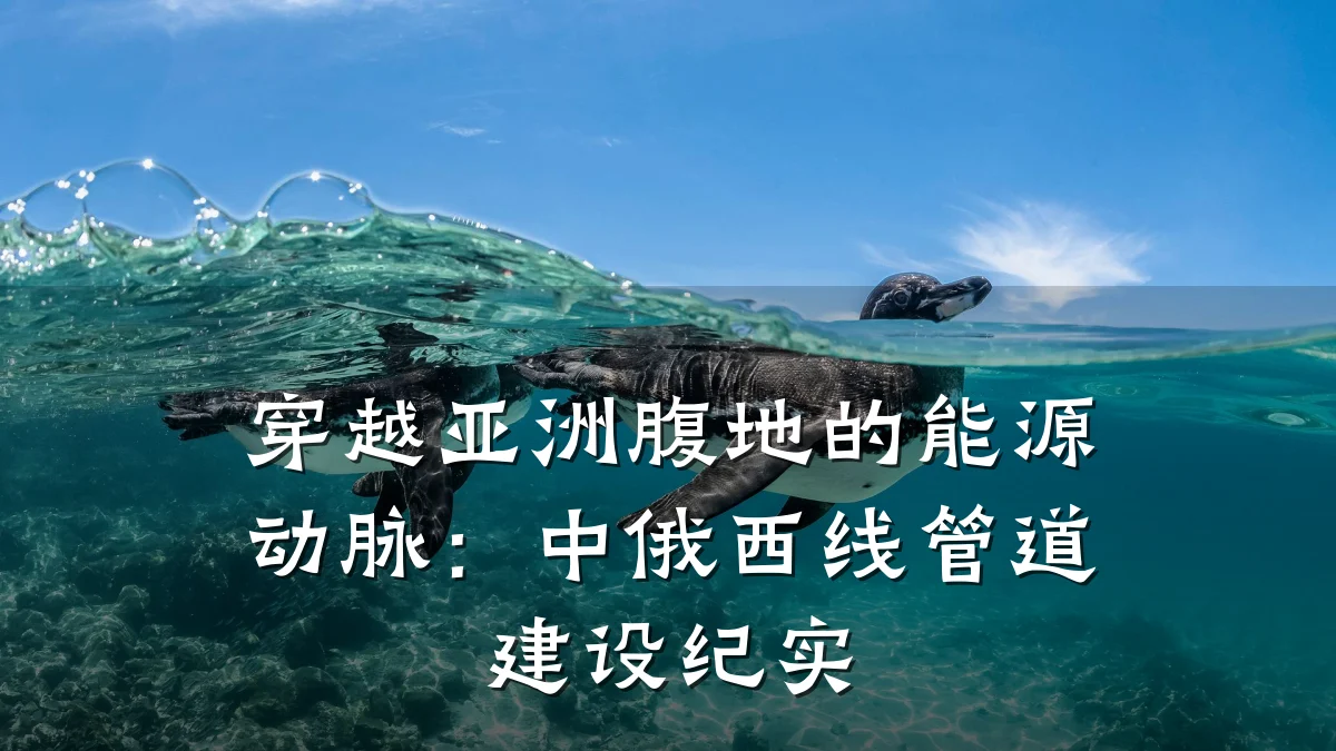 穿越亚洲腹地的能源动脉:中俄西线管道建设纪实