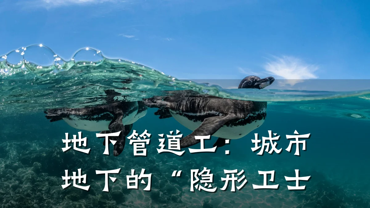地下管道工:城市地下的“隐形卫士