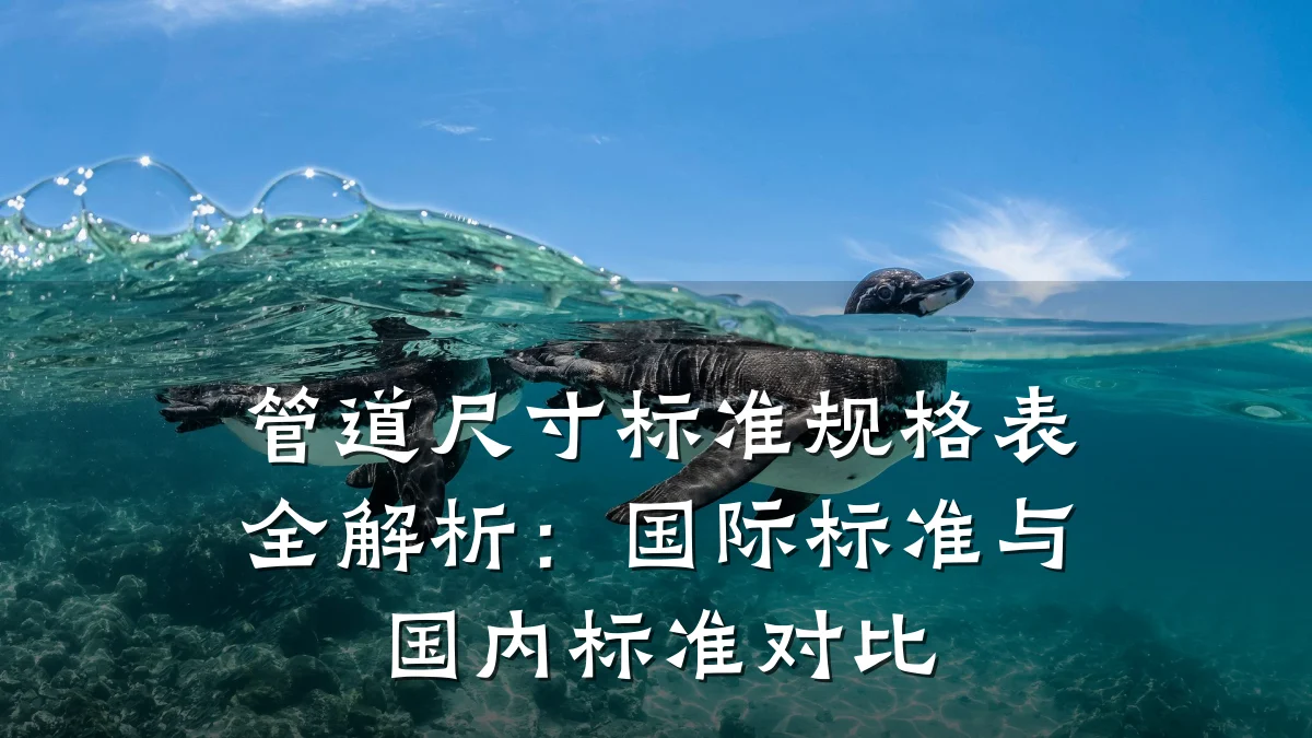 管道尺寸标准规格表全解析:国际标准与国内标准对比