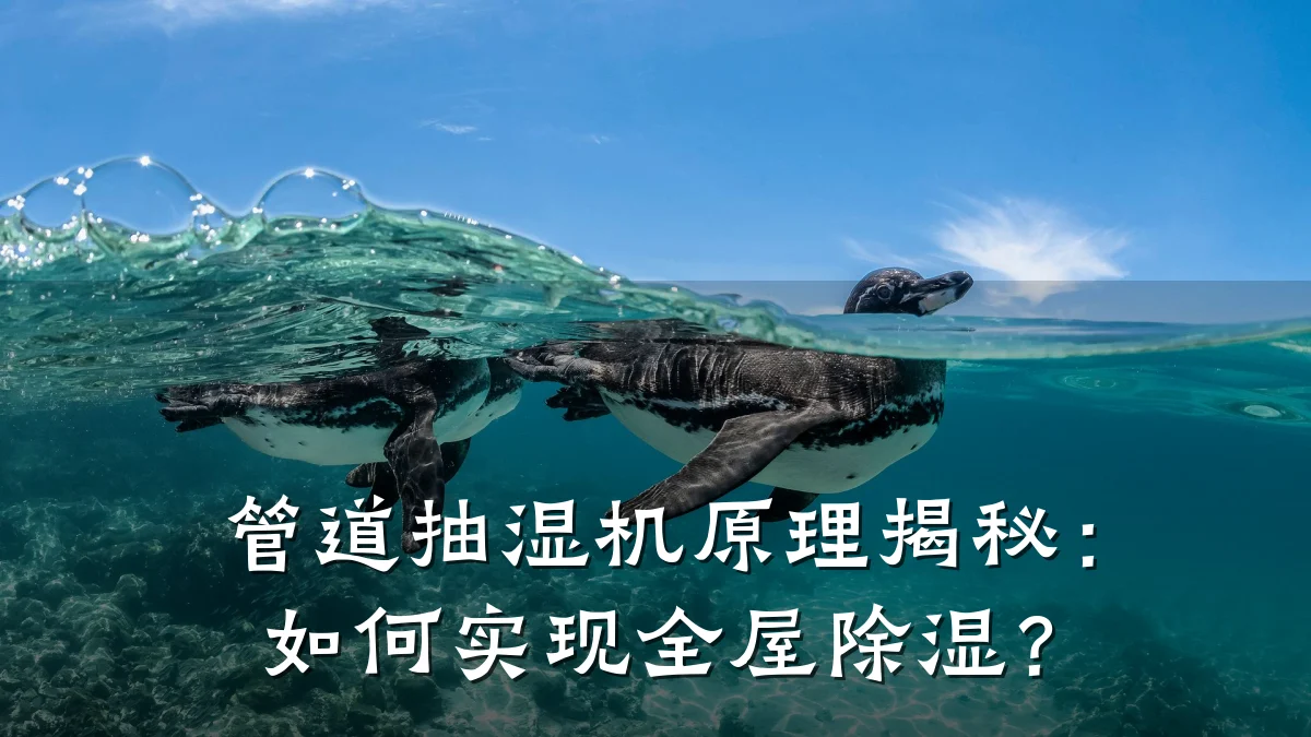 管道抽湿机原理揭秘:如何实现全屋除湿?