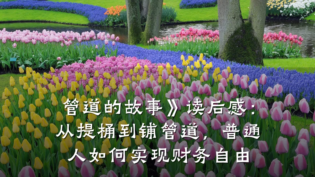 管道的故事》读后感:从提桶到铺管道,普通人如何实现财务自由