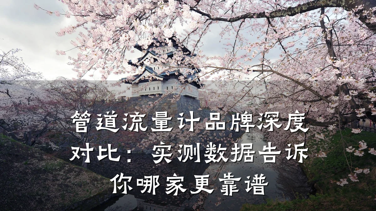 管道流量计品牌深度对比:实测数据告诉你哪家更靠谱