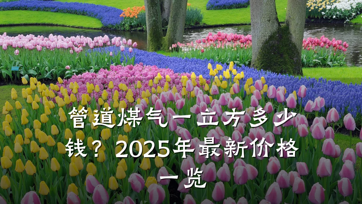 管道煤气一立方多少钱?2025年最新价格一览