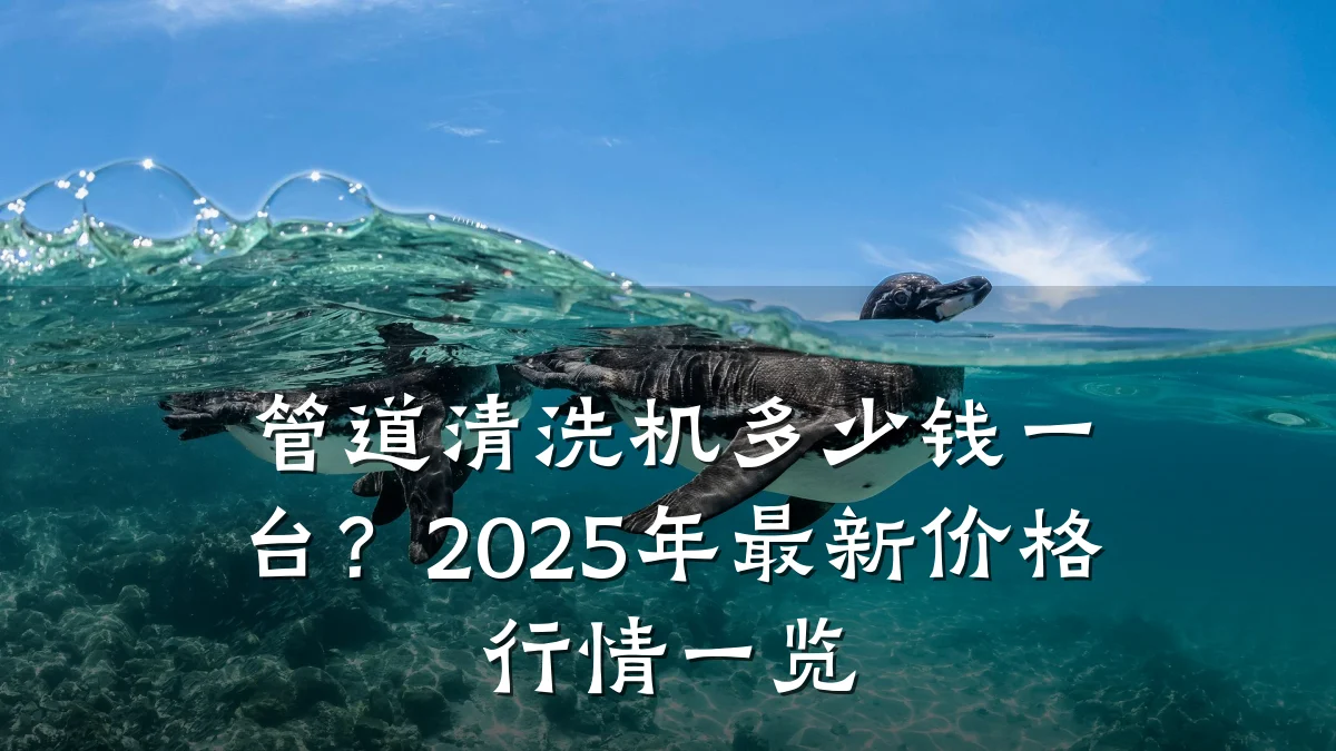管道清洗机多少钱一台?2025年最新价格行情一览