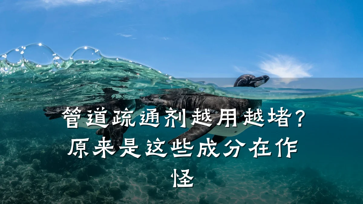 管道疏通剂越用越堵?原来是这些成分在作怪