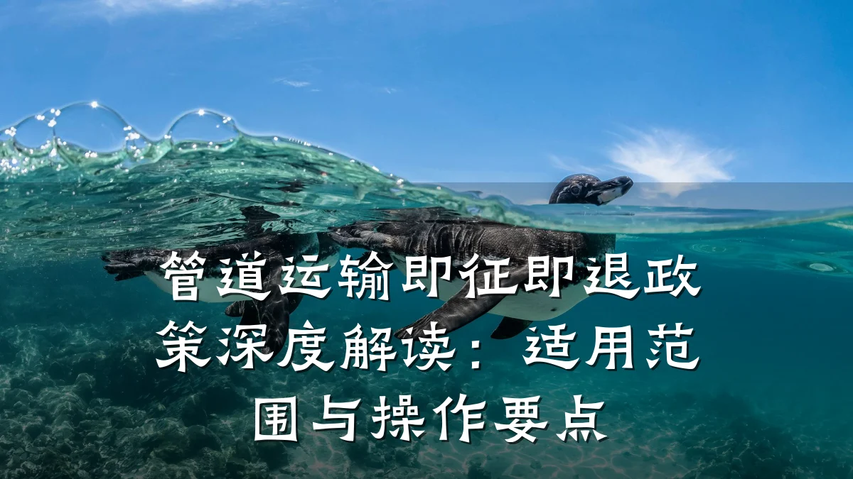 管道运输即征即退政策深度解读:适用范围与操作要点