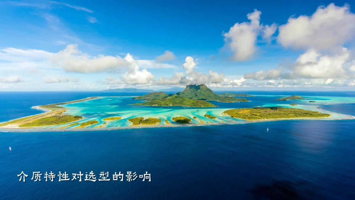 介质特性对选型的影响