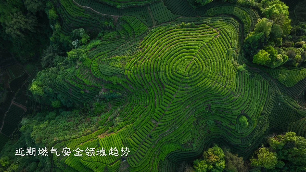 近期燃气安全领域趋势