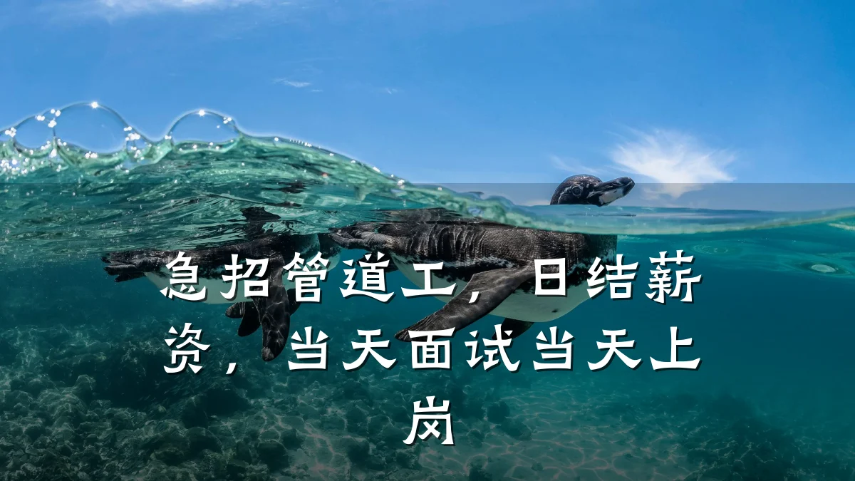 急招管道工,日结薪资,当天面试当天上岗