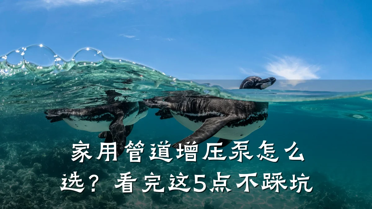 家用管道增压泵怎么选?看完这5点不踩坑