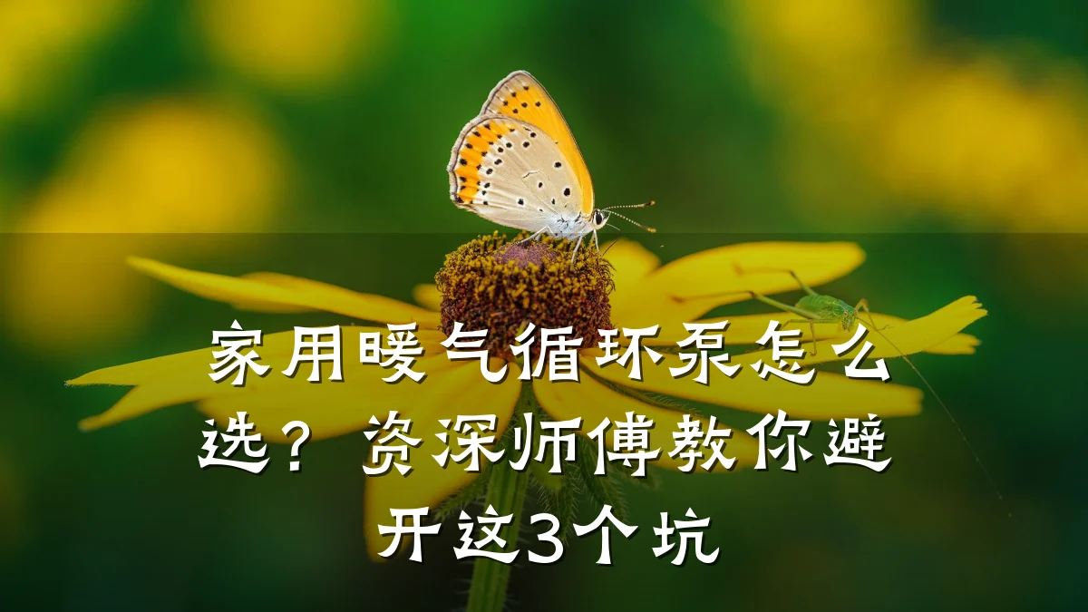 家用暖气循环泵怎么选?资深师傅教你避开这3个坑