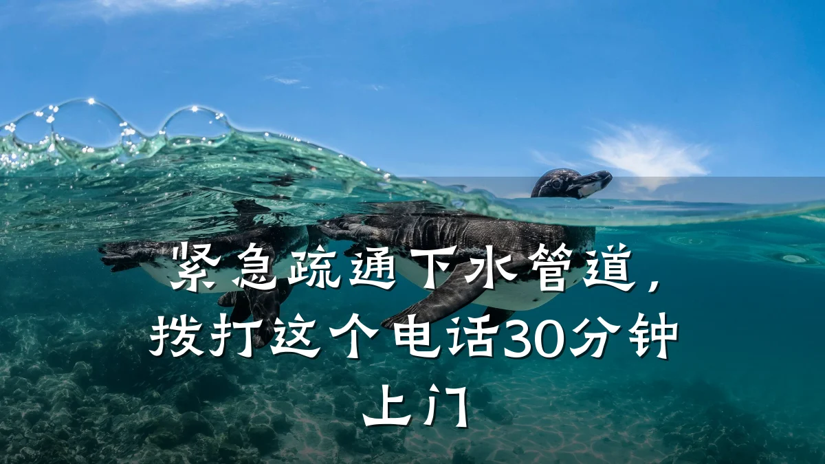 紧急疏通下水管道,拨打这个电话30分钟上门
