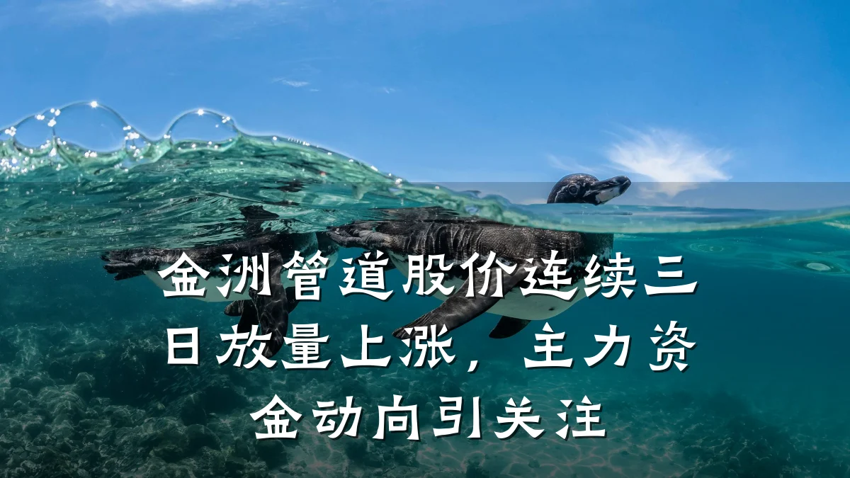 金洲管道股价连续三日放量上涨,主力资金动向引关注