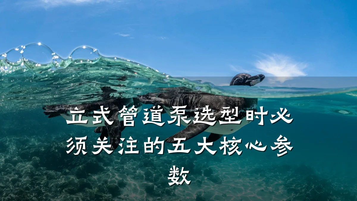 立式管道泵选型时必须关注的五大核心参数
