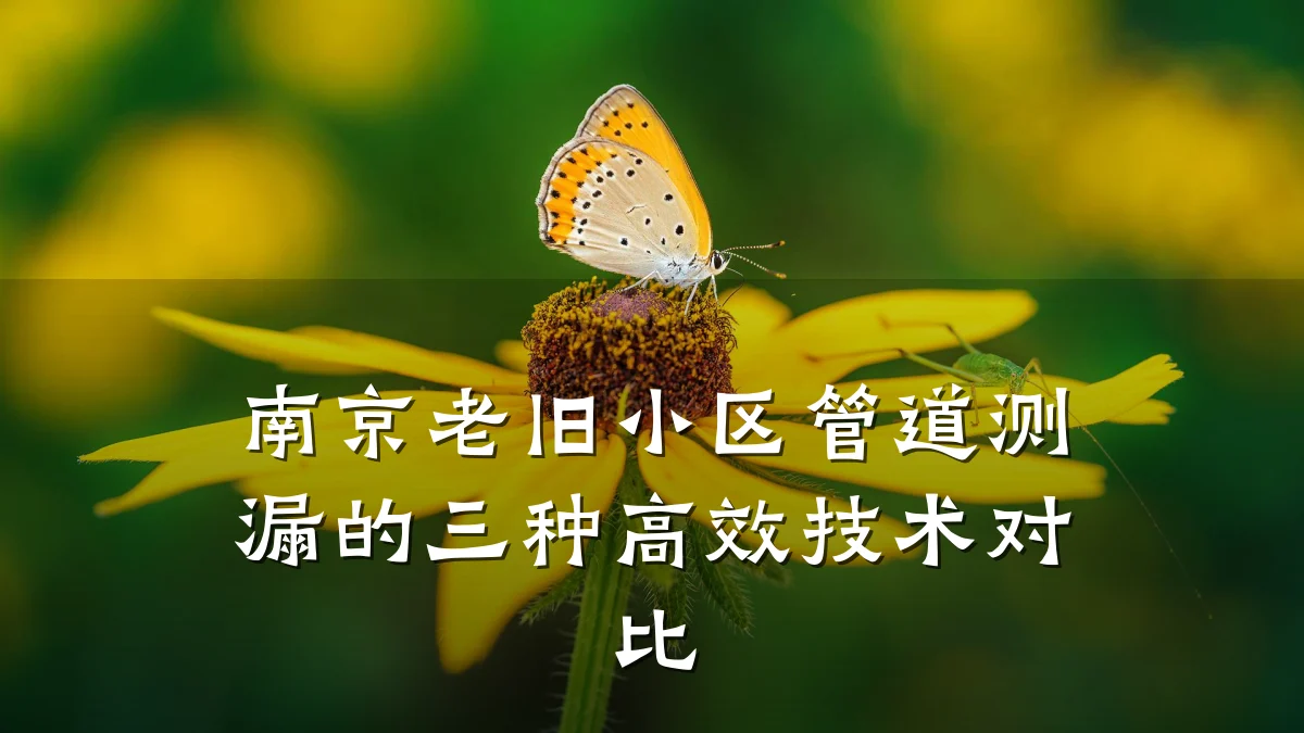 南京老旧小区管道测漏的三种高效技术对比
