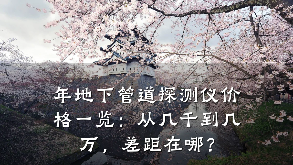 年地下管道探测仪价格一览:从几千到几万,差距在哪?