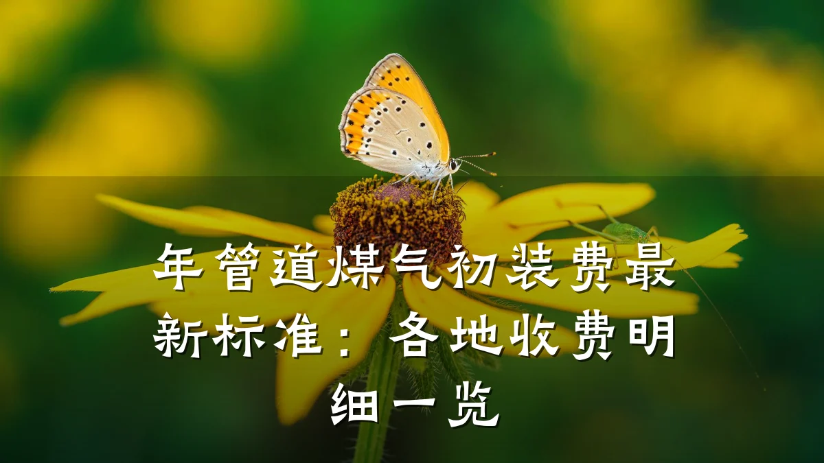 年管道煤气初装费最新标准:各地收费明细一览
