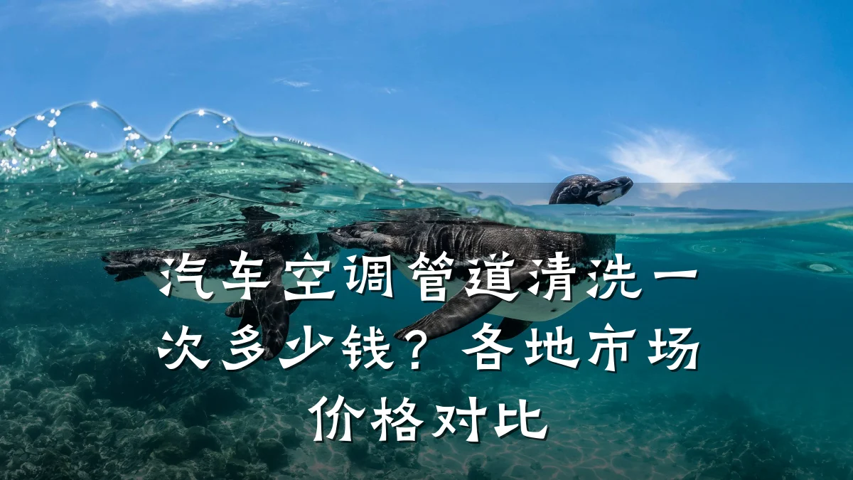 汽车空调管道清洗一次多少钱?各地市场价格对比