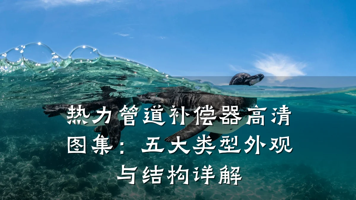 热力管道补偿器高清图集:五大类型外观与结构详解