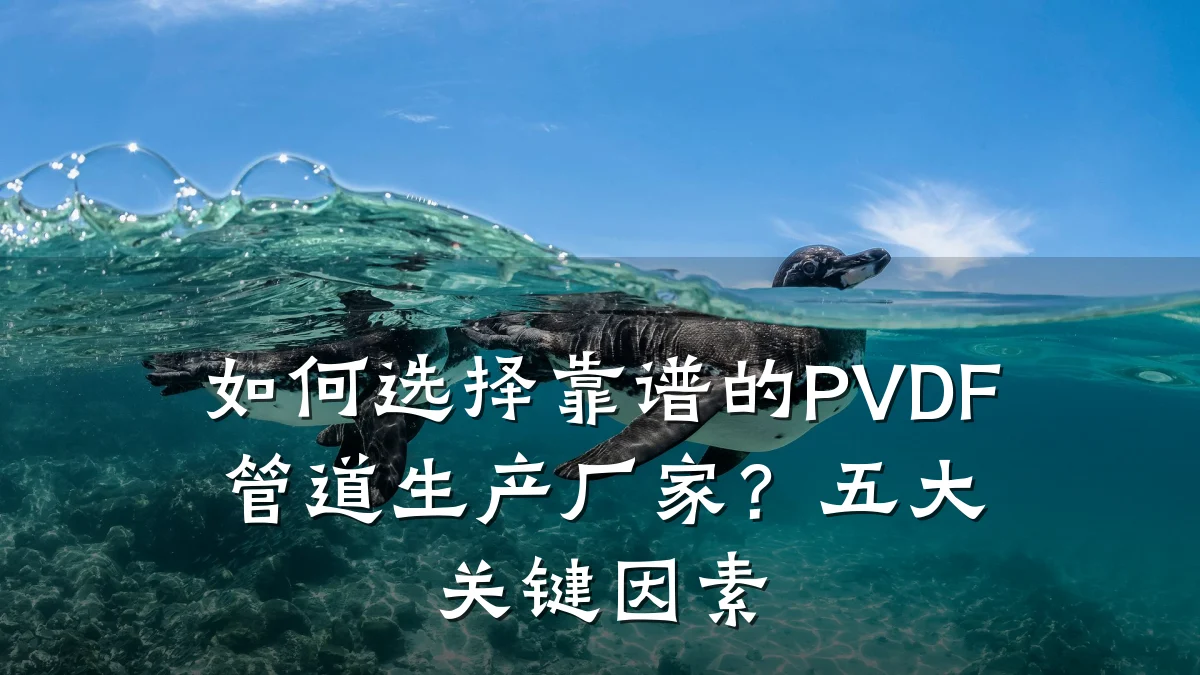 如何选择靠谱的PVDF管道生产厂家?五大关键因素