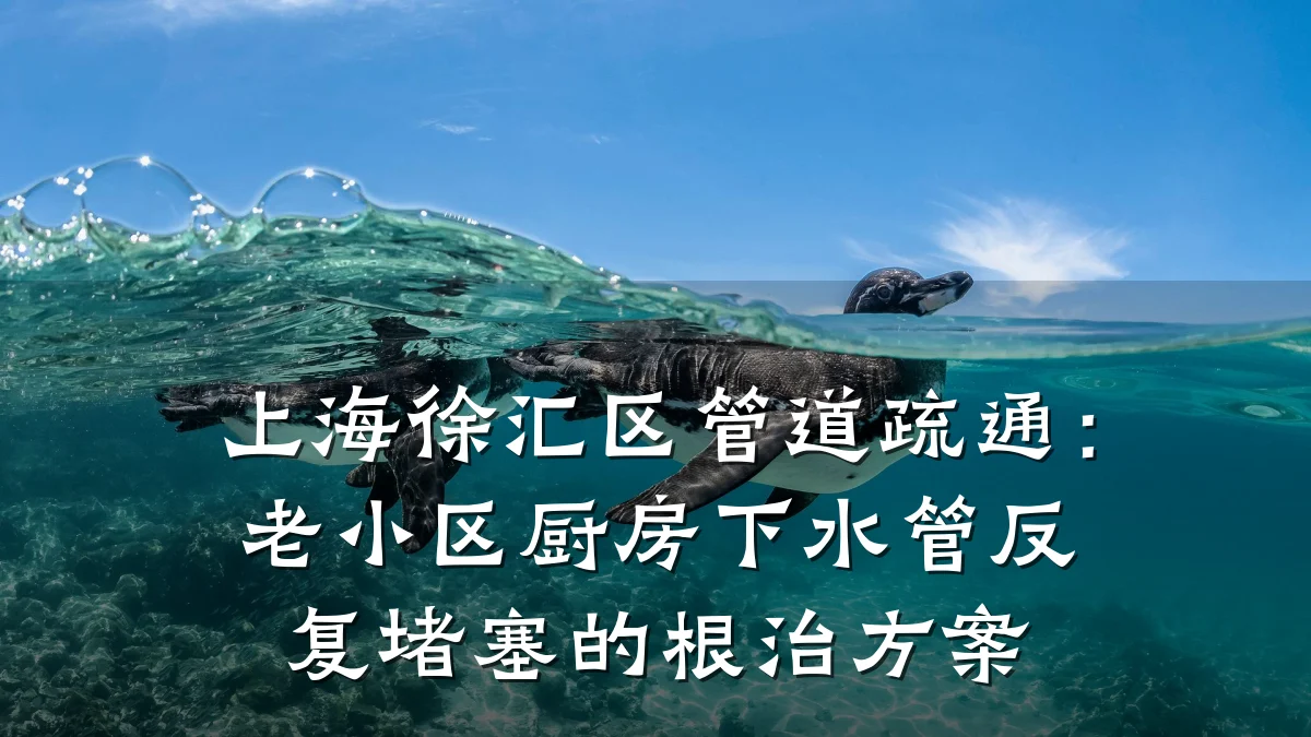 上海徐汇区管道疏通:老小区厨房下水管反复堵塞的根治方案