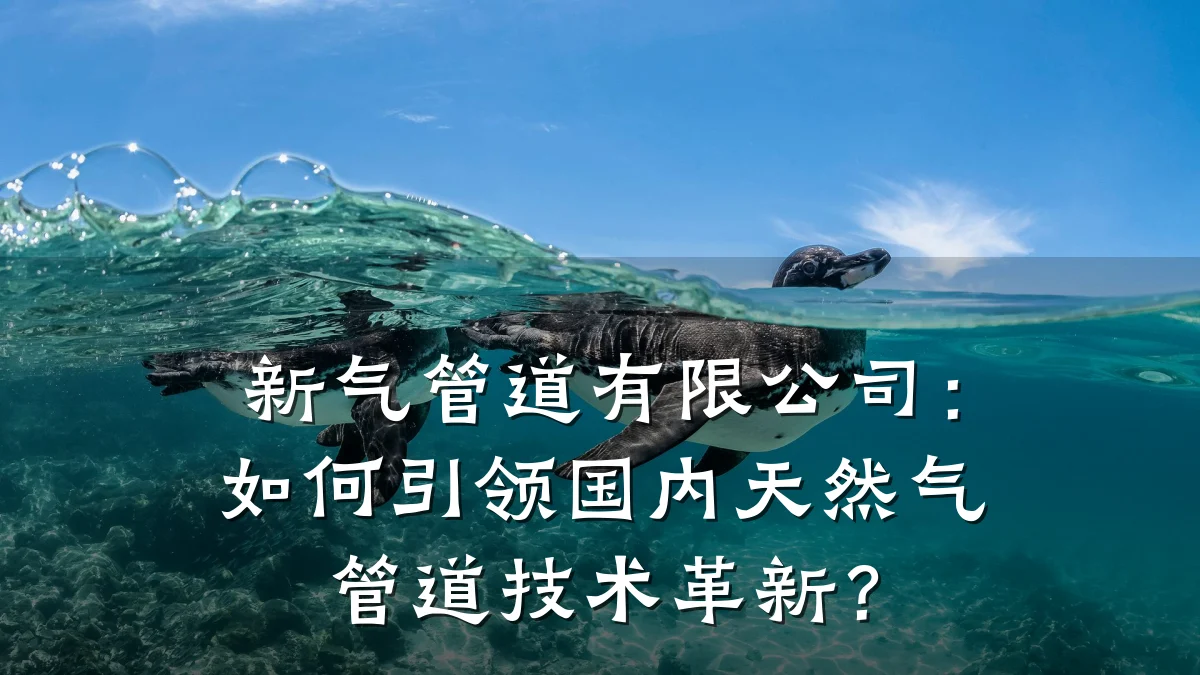 新气管道有限公司:如何引领国内天然气管道技术革新?