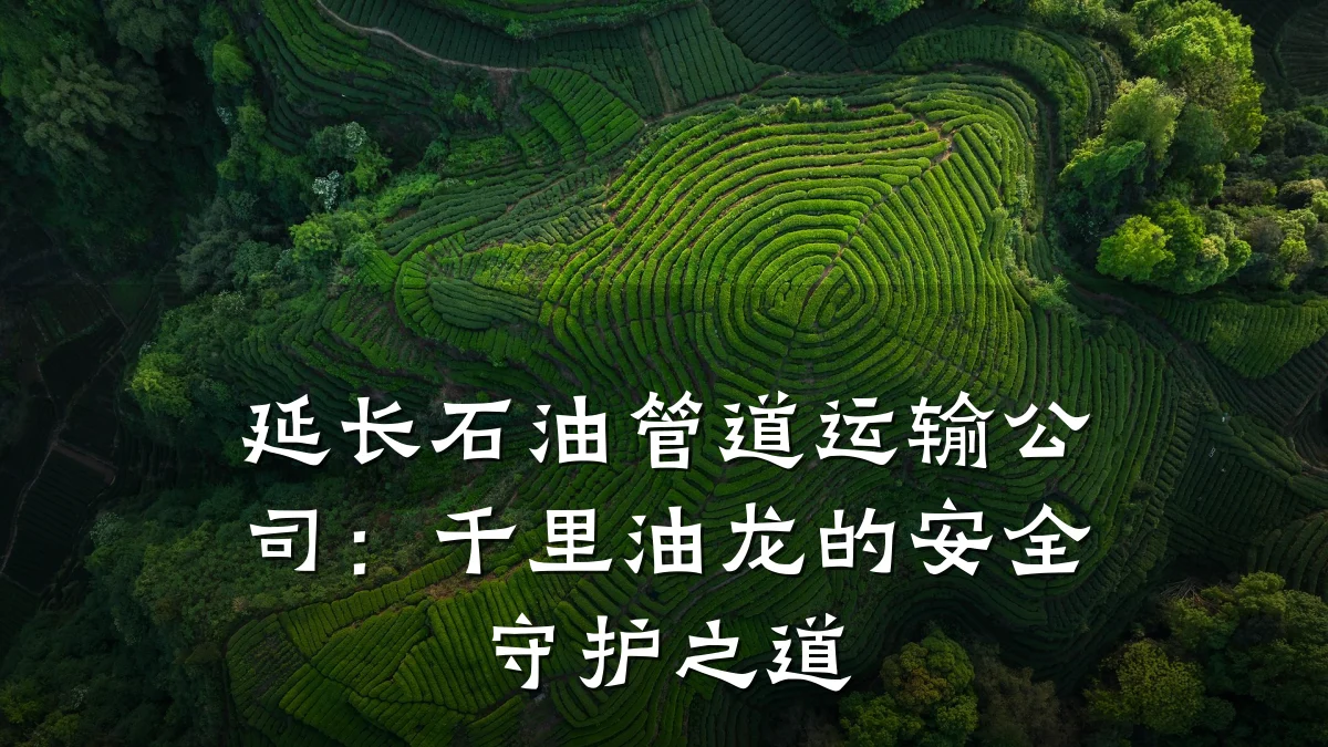 延长石油管道运输公司:千里油龙的安全守护之道