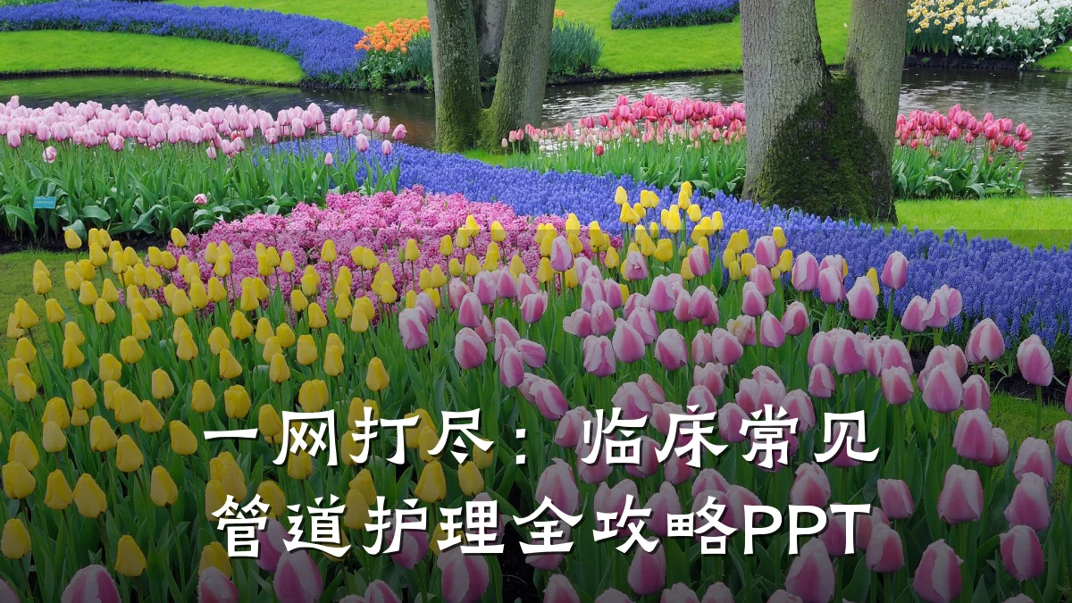 一网打尽:临床常见管道护理全攻略PPT