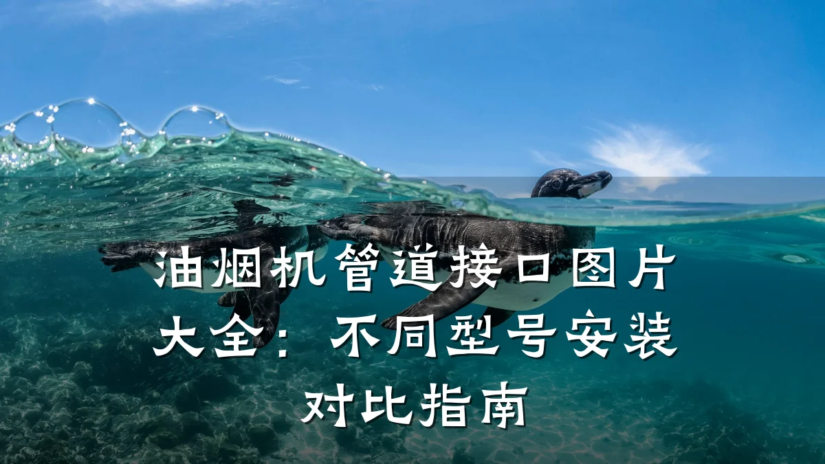 油烟机管道接口图片大全:不同型号安装对比指南