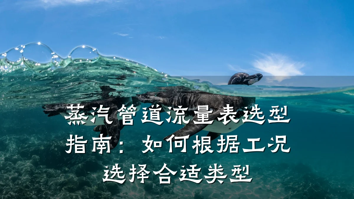 蒸汽管道流量表选型指南:如何根据工况选择合适类型