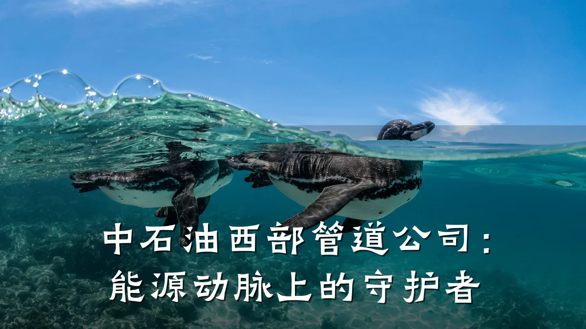 中石油西部管道公司:能源动脉上的守护者